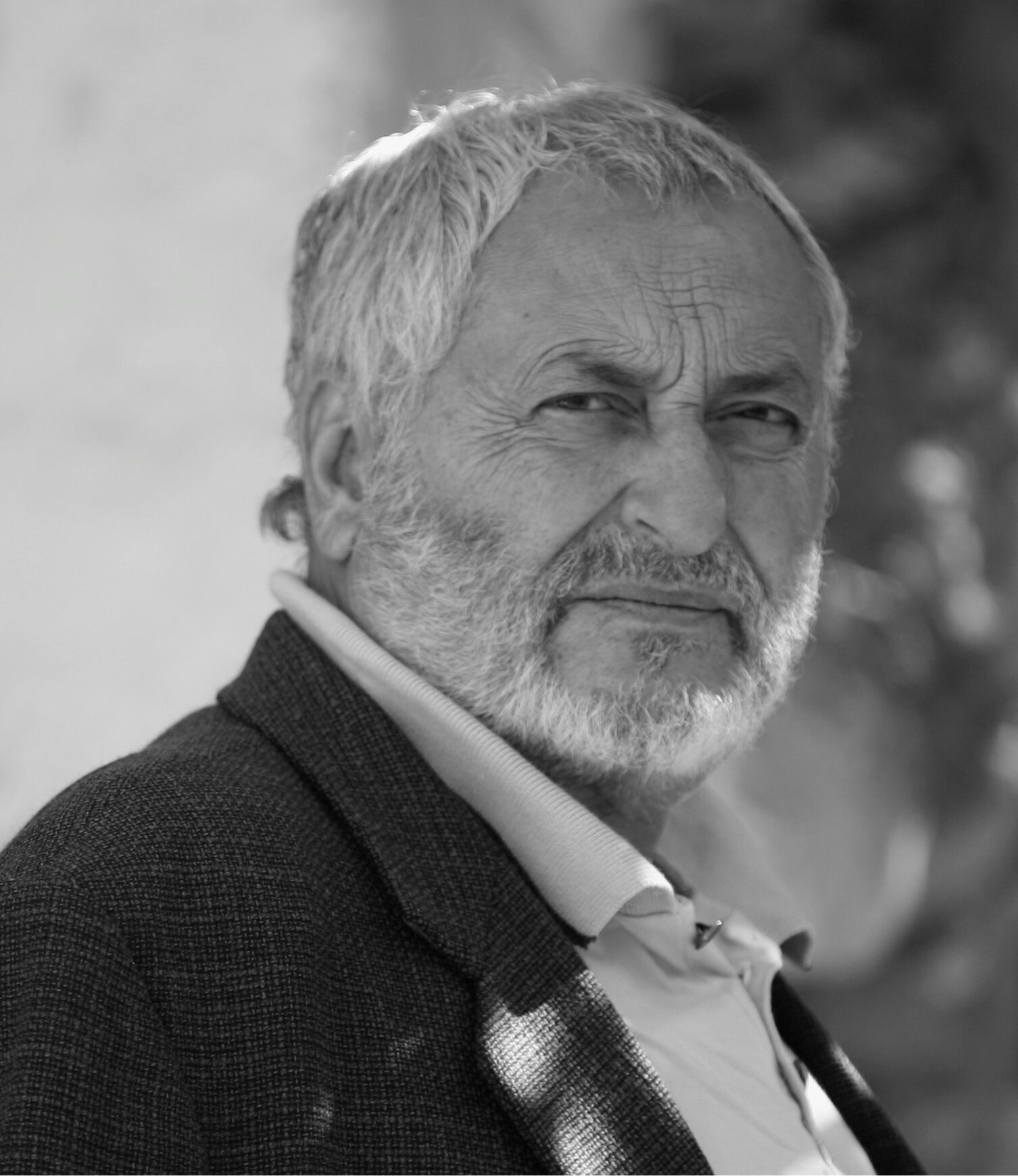 纳迪姆·萨瓦哈剧照