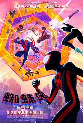         蜘蛛侠：纵横宇宙