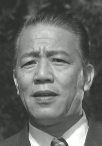 王引剧照