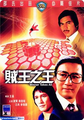         贼王之王