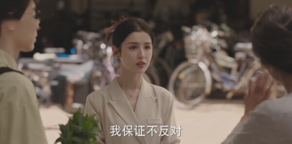成家第25集剧照