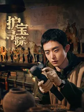 护宝寻踪电视剧海报