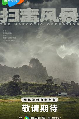 扫毒风暴海报