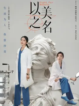 以美之名电视剧海报