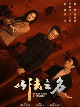 以法之名电视剧海报