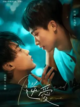 逆爱电视剧海报