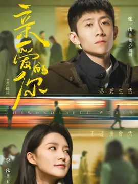 亲爱的你电视剧海报