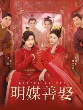 明媒善娶电视剧海报
