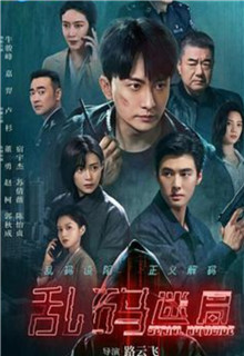 乱码迷局剧情介绍大结局