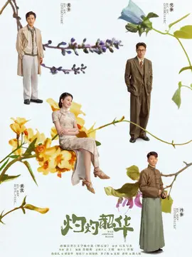 灼灼韶华电视剧海报