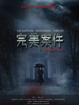 完美案件电视剧海报