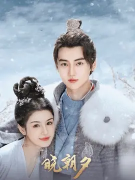 晓朝夕分集剧情介绍(1-24集)大结局