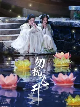 勿扰飞升电视剧海报