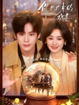 你是迟来的欢喜分集剧情介绍(1-30集)大结局