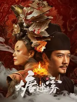大唐迷雾剧情介绍大结局