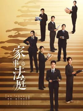 家事法庭电视剧海报