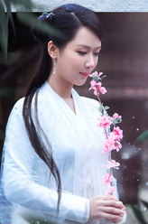 杨紫剧照