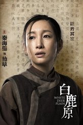 仙草（秦海璐饰演）