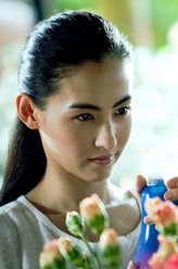 秦芯（张柏芝饰演）