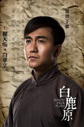 白孝文（翟天临饰演）