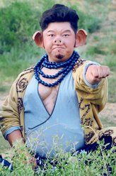 朱八二当家（刘天佐饰演）