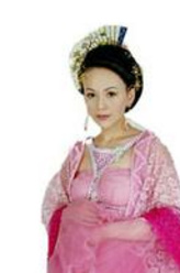 宝贵妃（王琳饰演）