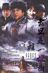 麻九爷（王晓忠饰演）