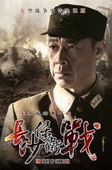 薛岳（张丰毅饰演）