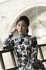 陈静书（曾黎饰演）