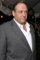 詹姆斯·甘多菲尼剧照