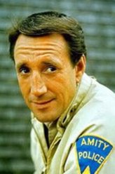 罗伊·沙伊德尔（罗伊·沙伊德尔饰演）