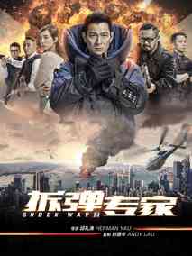 拆弹专家电视剧海报