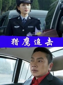 猎鹰追击