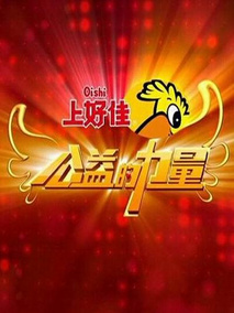 公益的力量