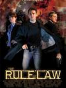 法网惊魂电视剧海报