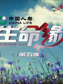 生命缘第五季