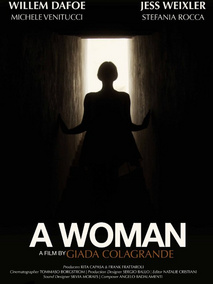 一个女人分集剧情介绍(1-集)大结局