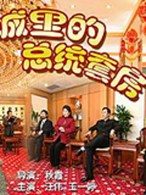 小城里的总统套房分集剧情介绍(1-集)大结局