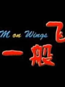 梦一般飞翔
